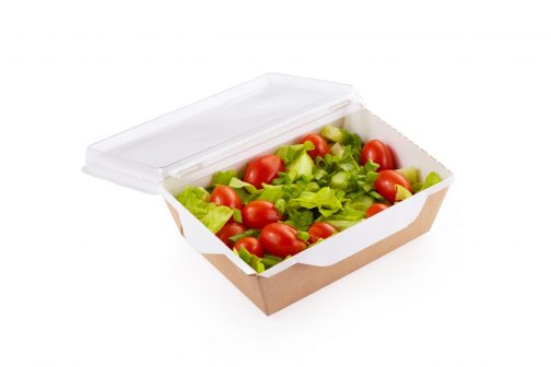 Контейнер OSQ OPSALAD 500 мл, 164х115х45 мм